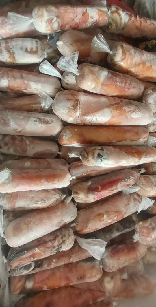 Cumi-Cumi Besar Beku