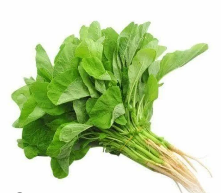 Bayam
