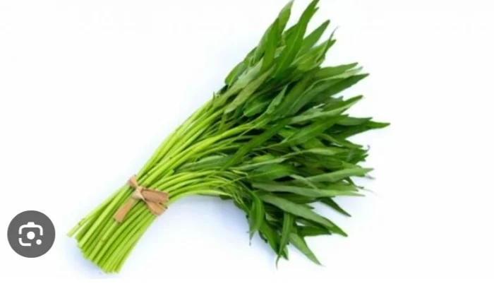 Kangkung