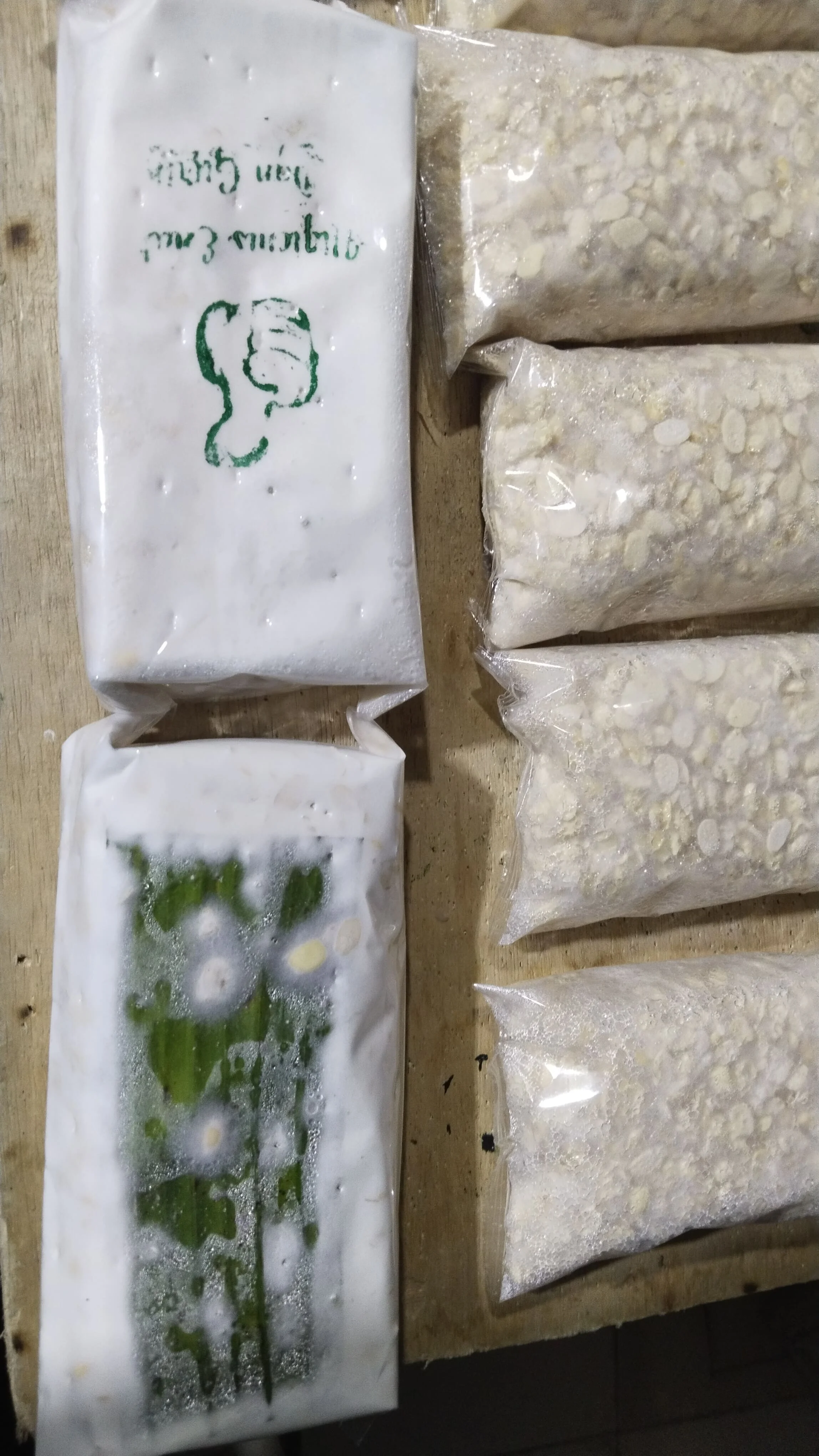 Tempe bersih (ukuran kecil)