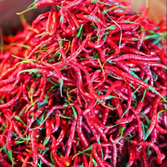 cabe kriting