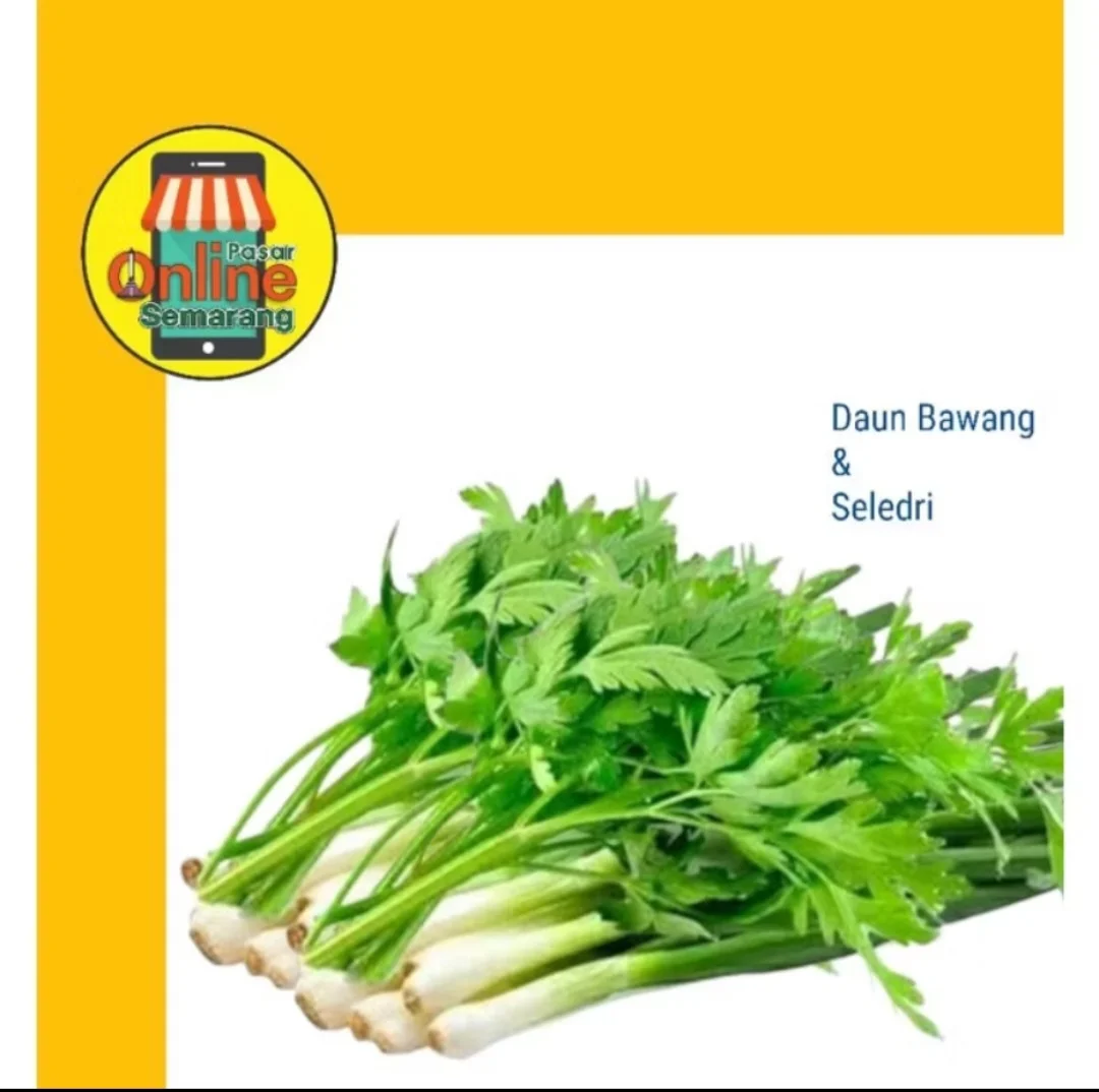 Daun Bawang + Daun Seledri