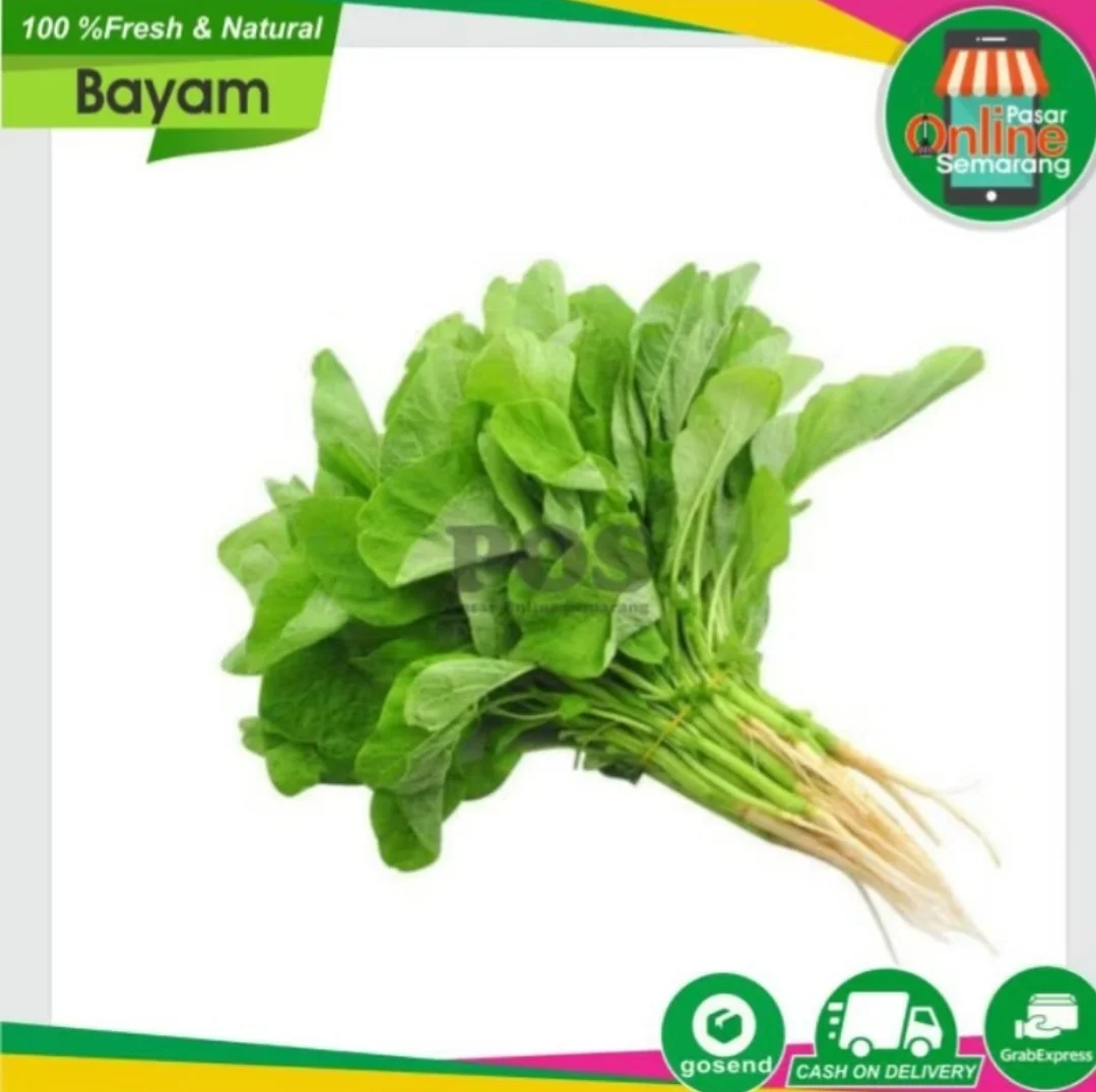 Bayam