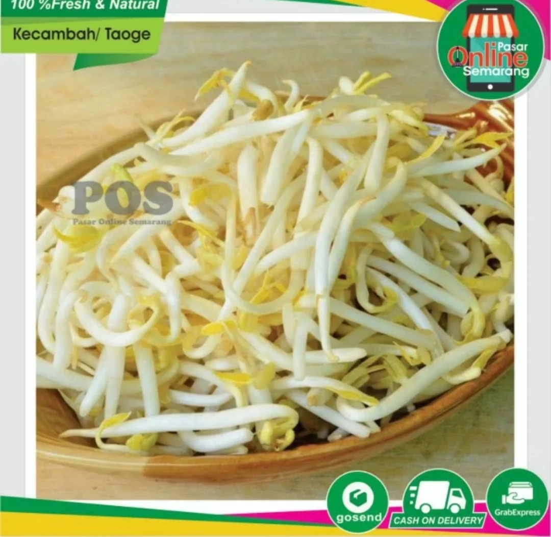 Toge Panjang