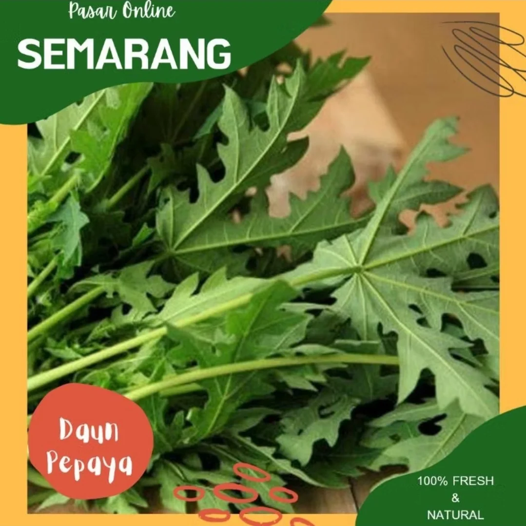 Daun Pepaya
