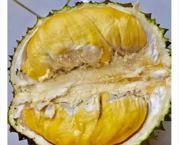 Duren Bawor