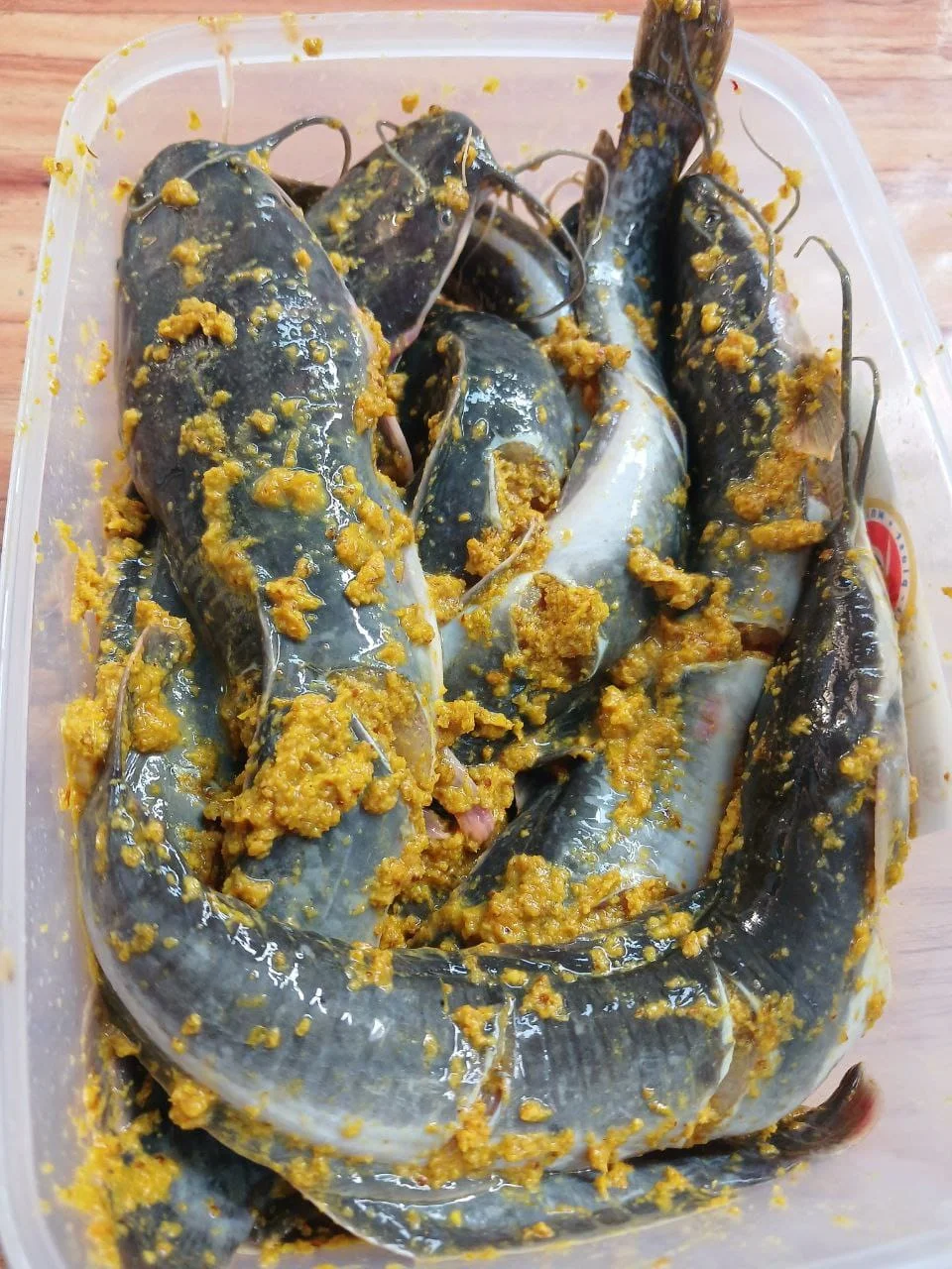 Ikan Lele