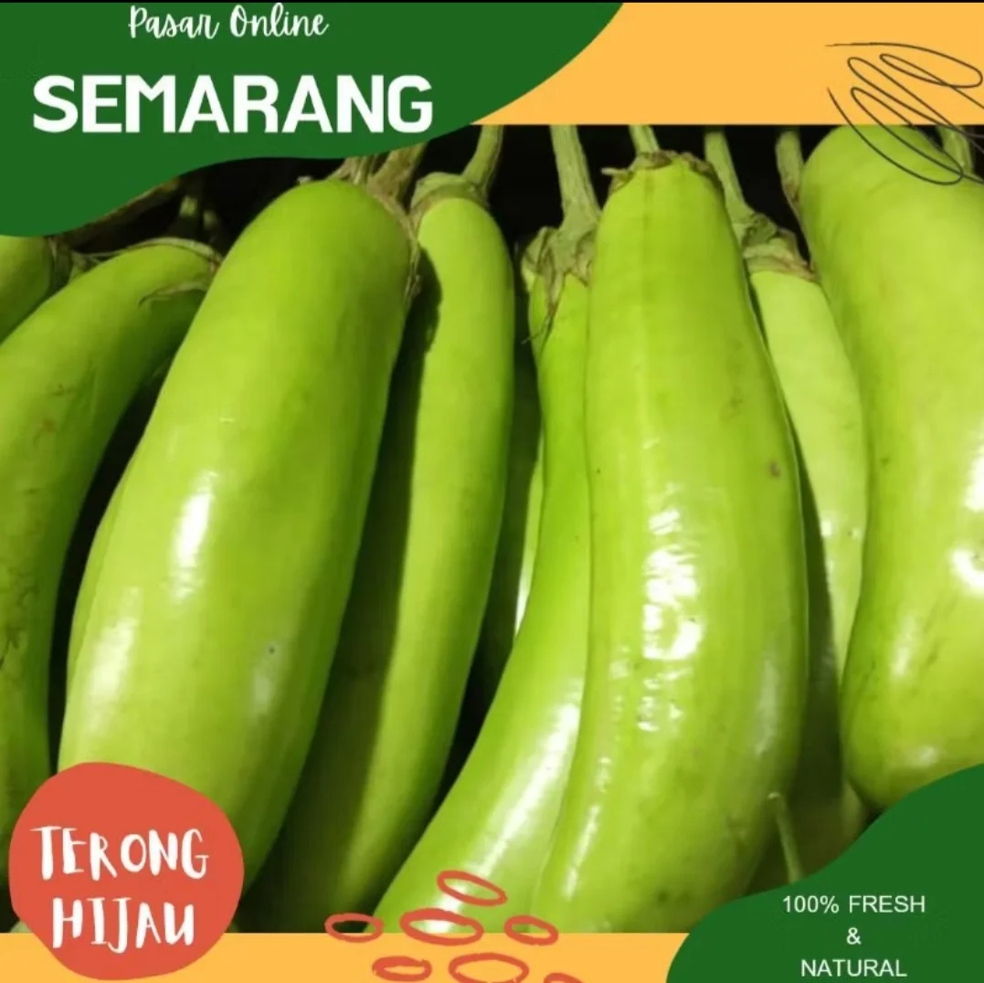 Terong ijo