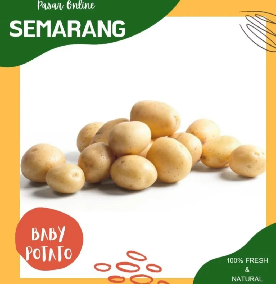 Kentang Baby