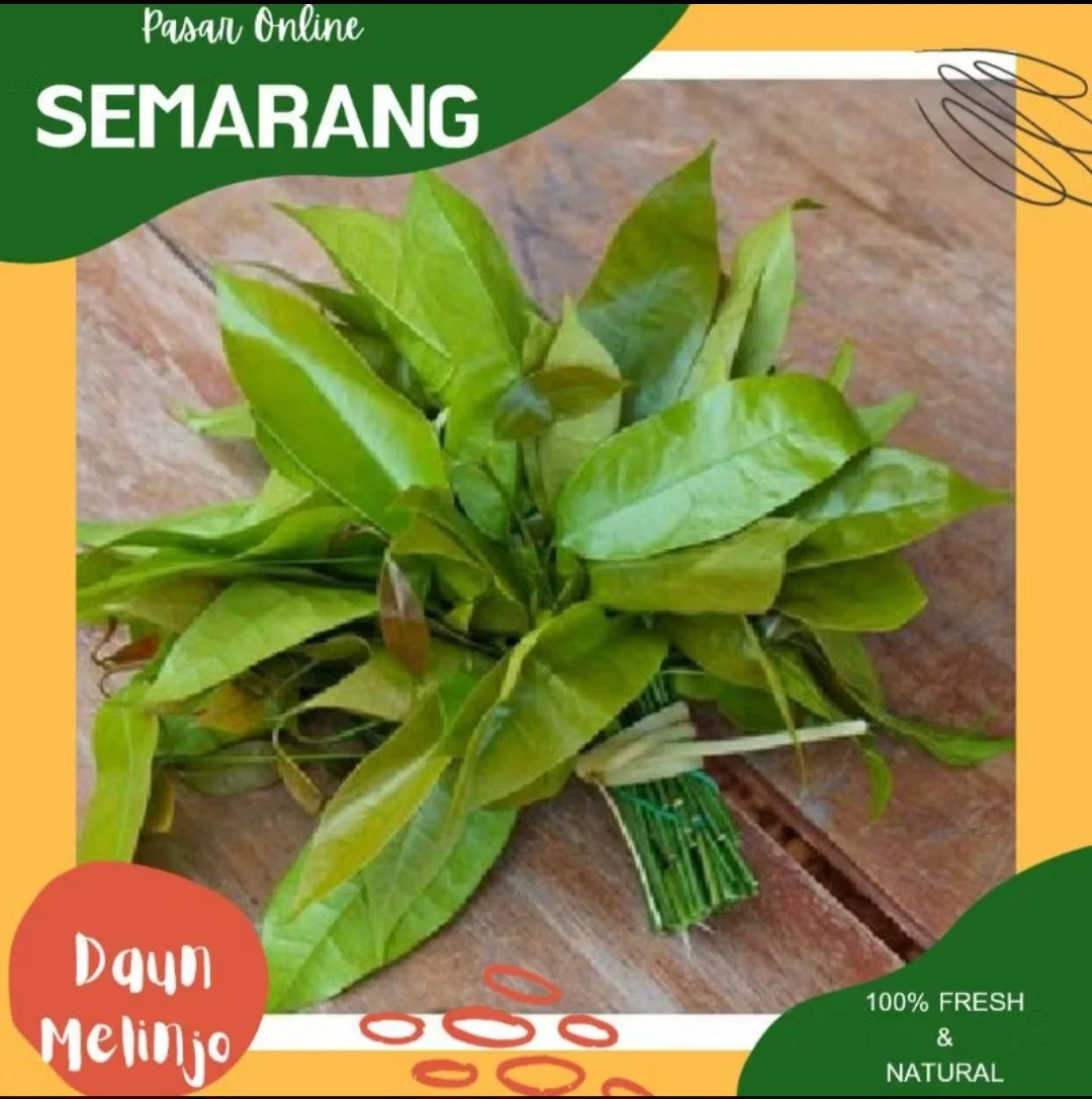 Daun So