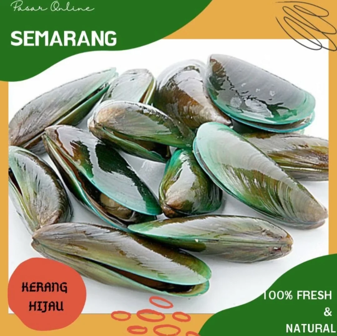 Kerang Hijau Kulit