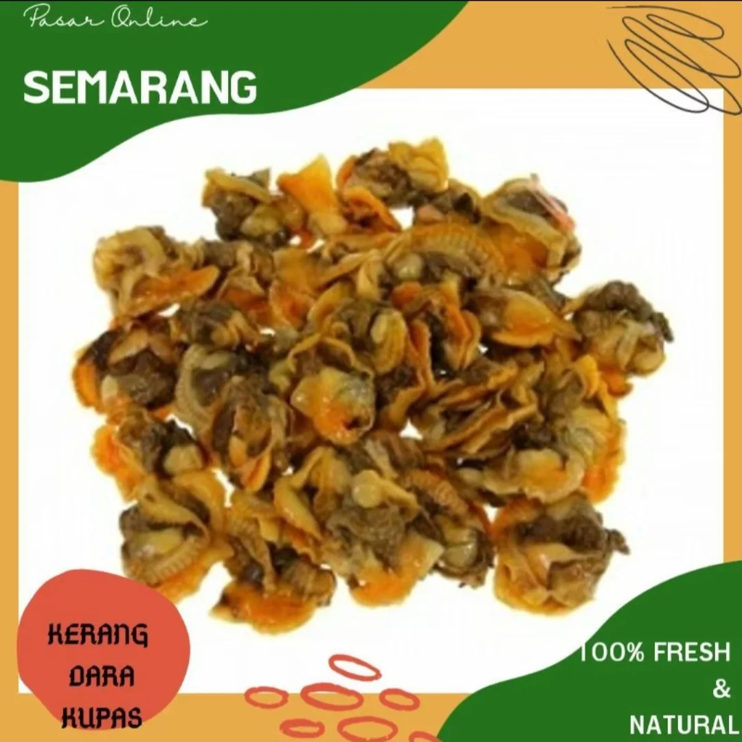 Kerang Dara Kupas