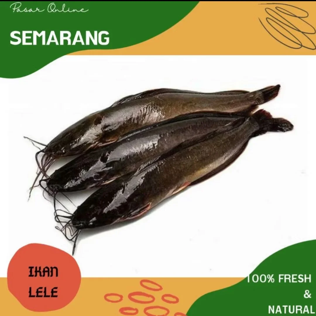 Lele