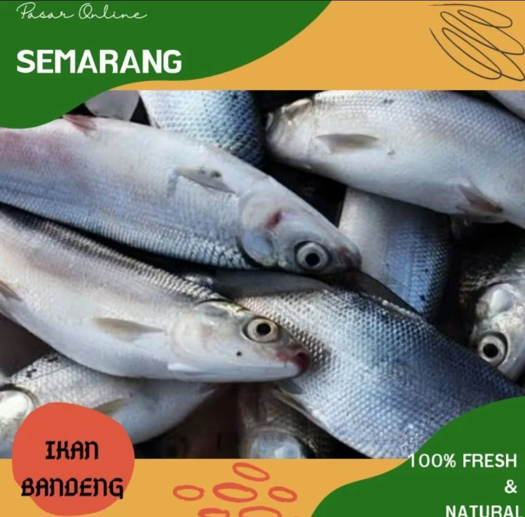 Bandeng
