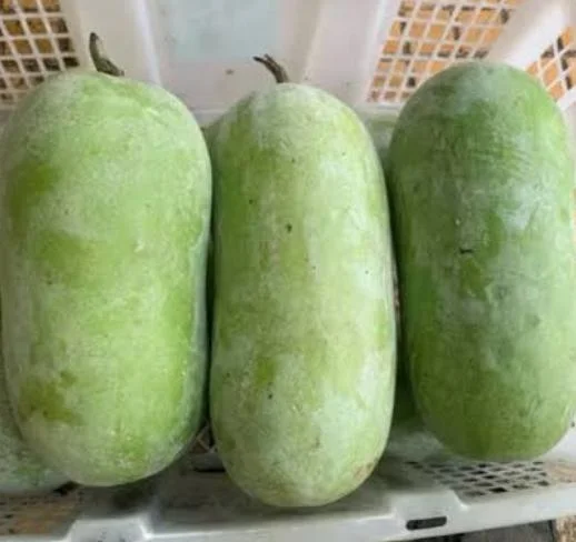 Buah Kundur