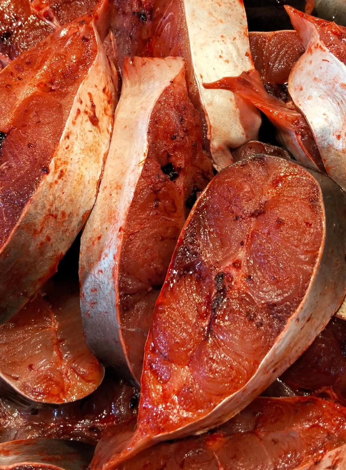 Patin Badan