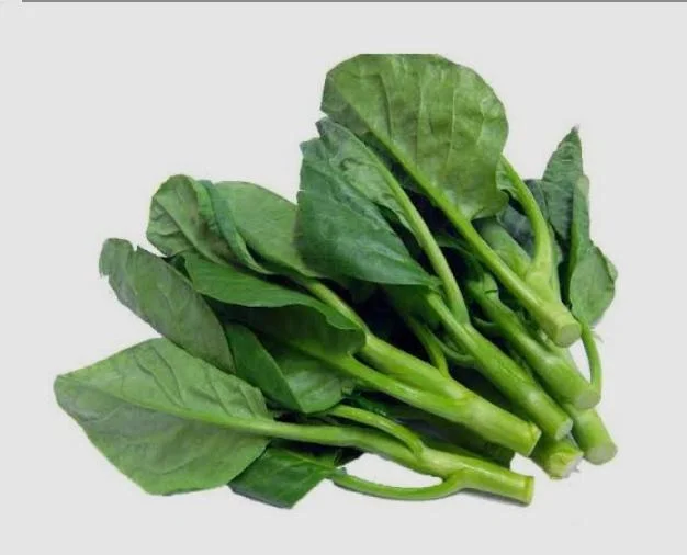 Kailan