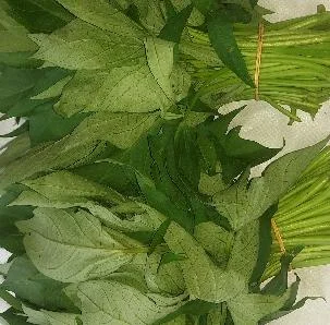 Daun Ubi Selo