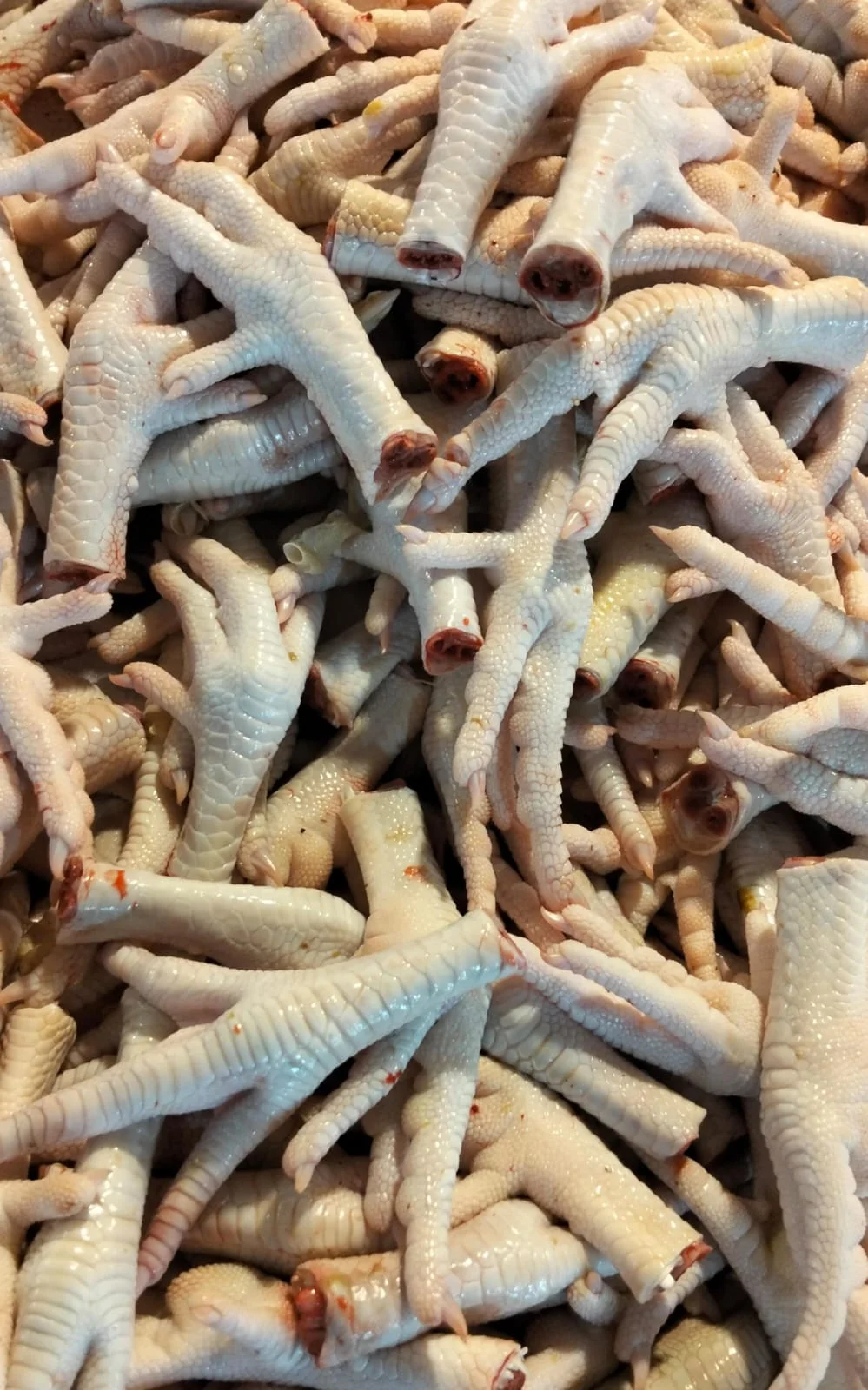 Ceker Ayam