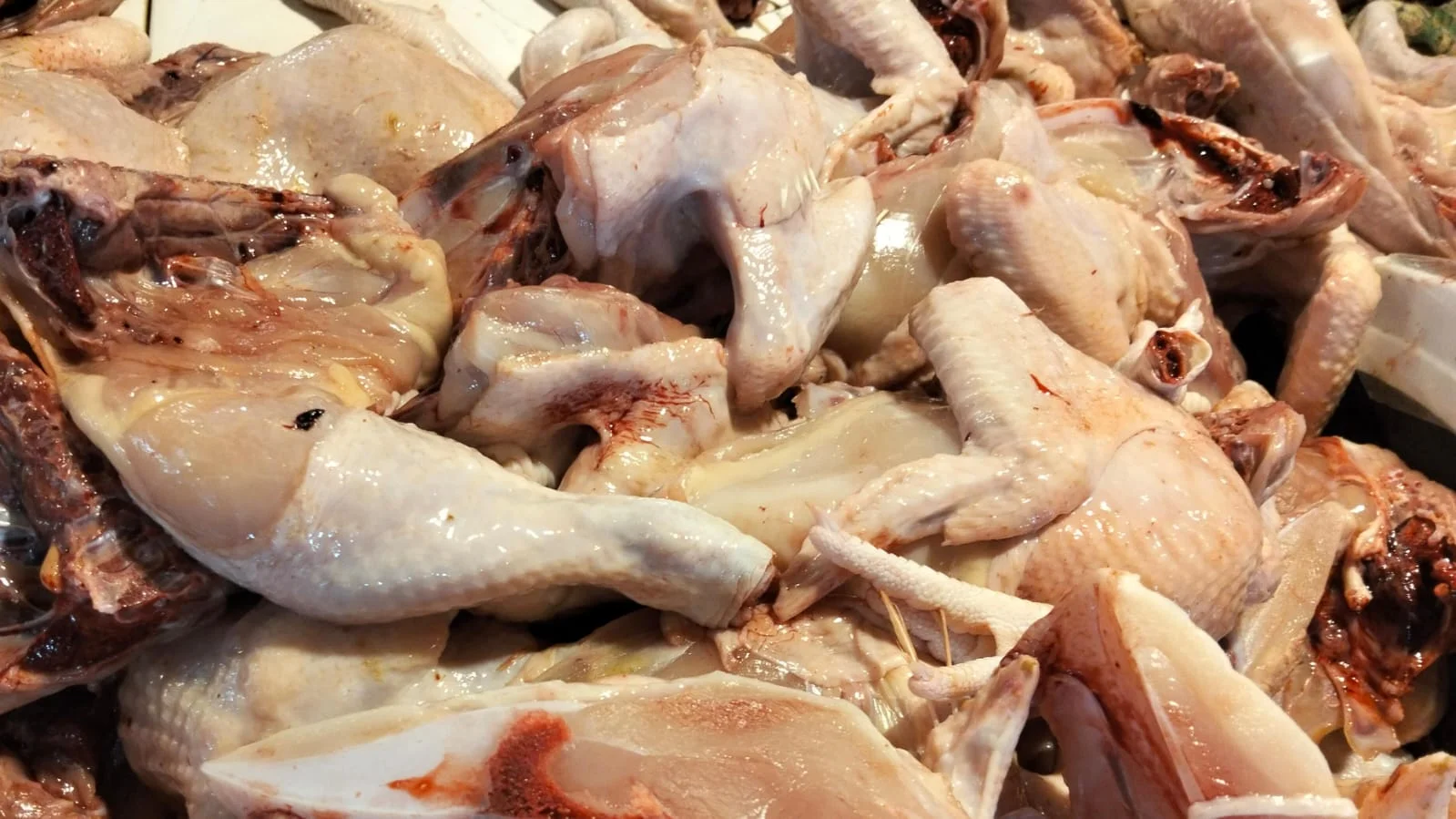 Ayam Potong