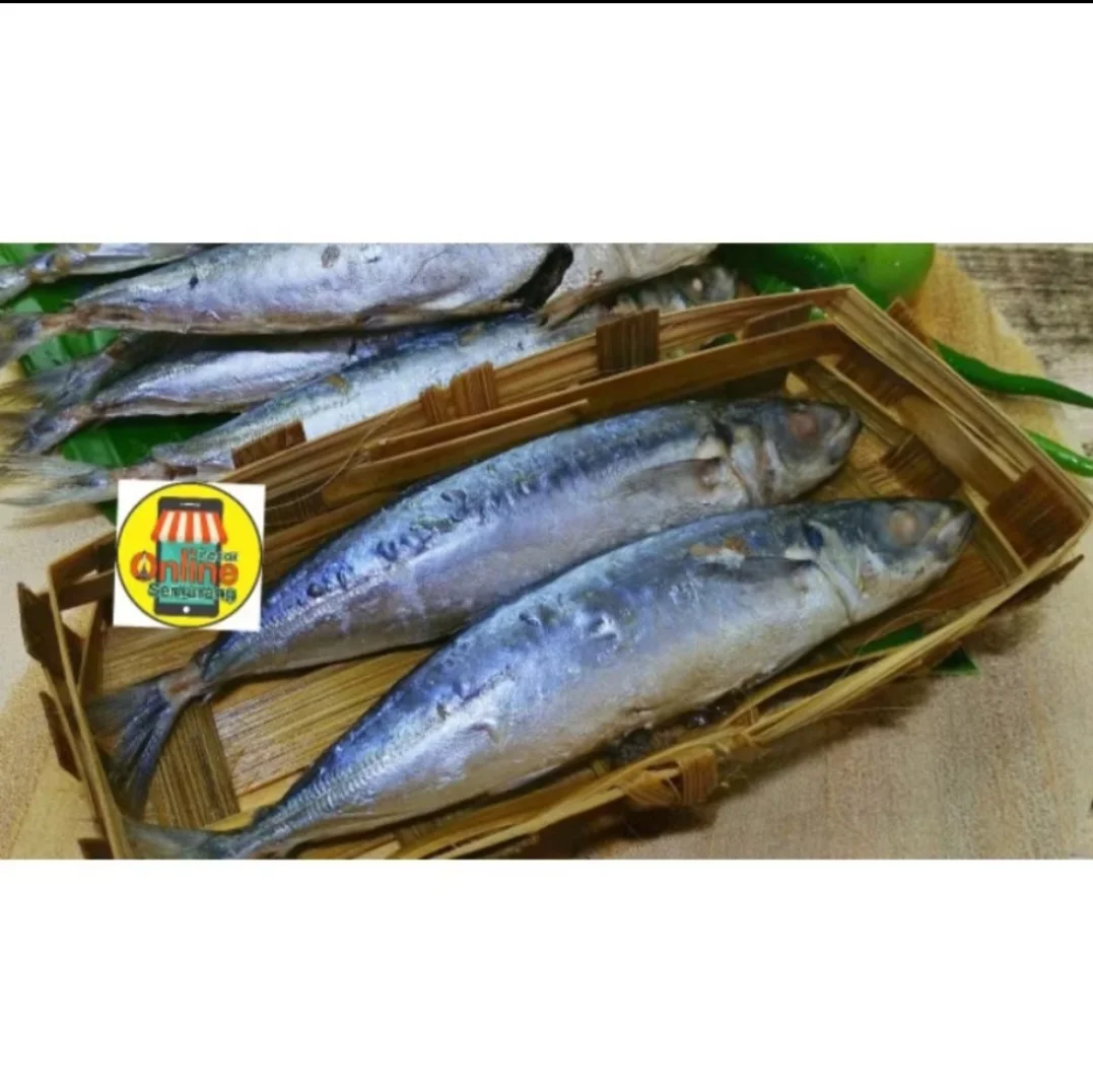 Pindang Besar