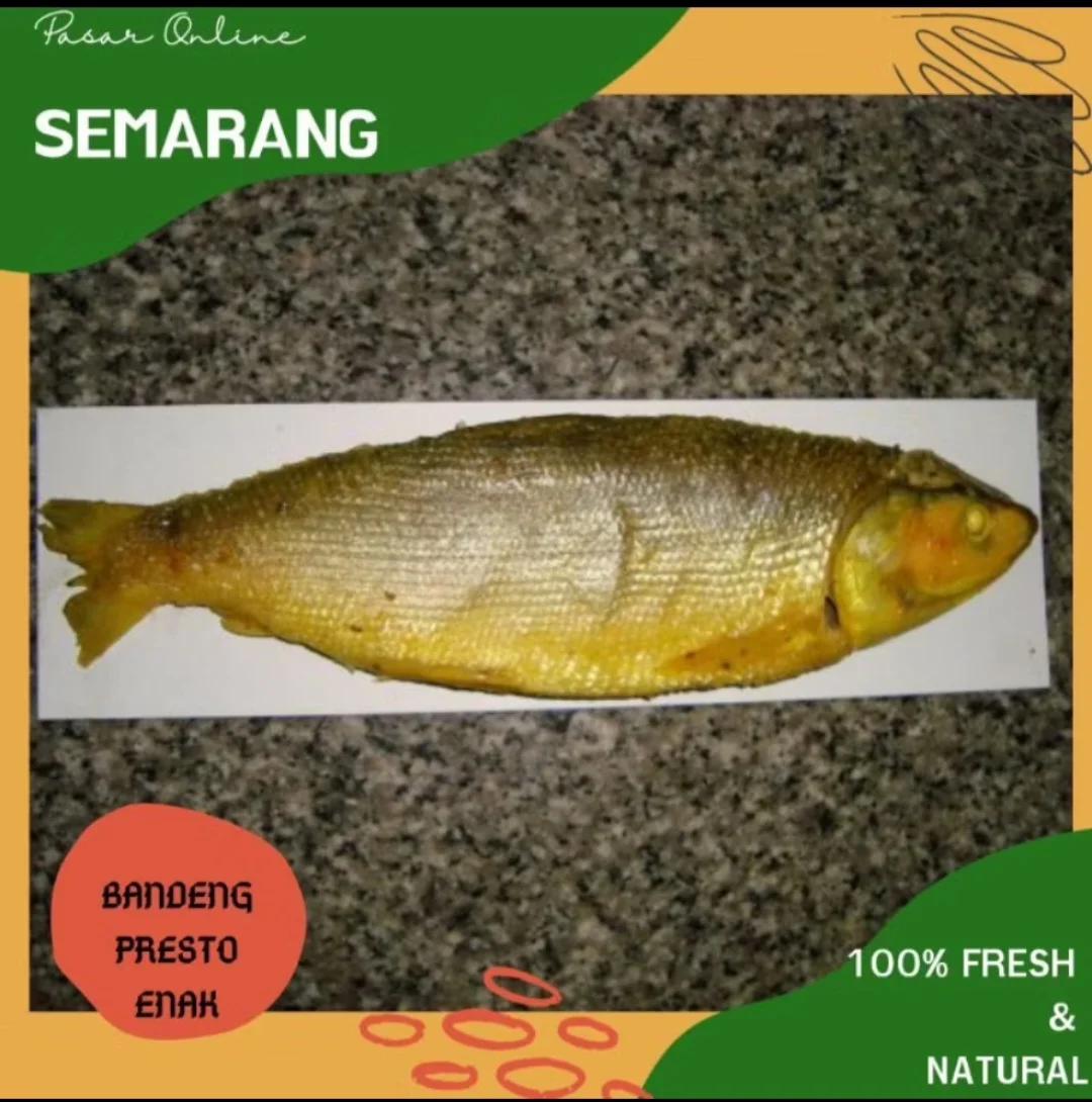 Bandeng Presto Kecil