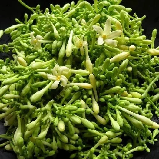 Bunga Pepaya