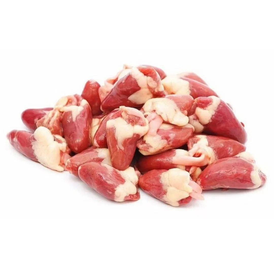 Jantung Ayam