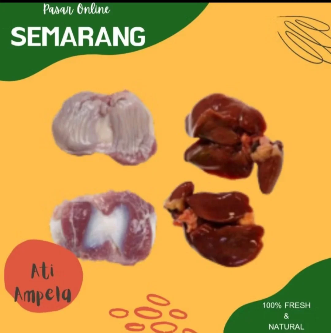 Ati Ayam
