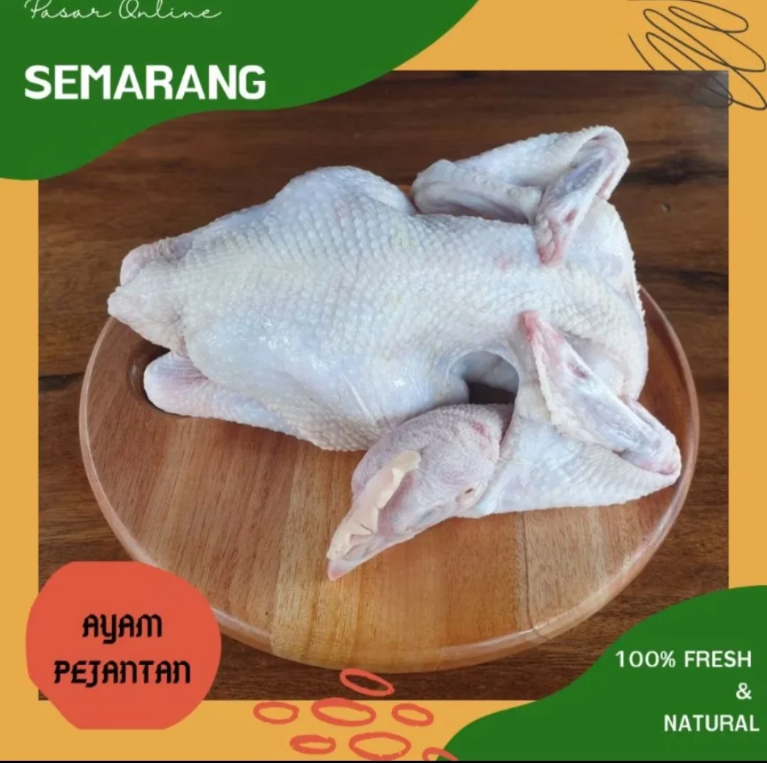 Ayam Pejantan
