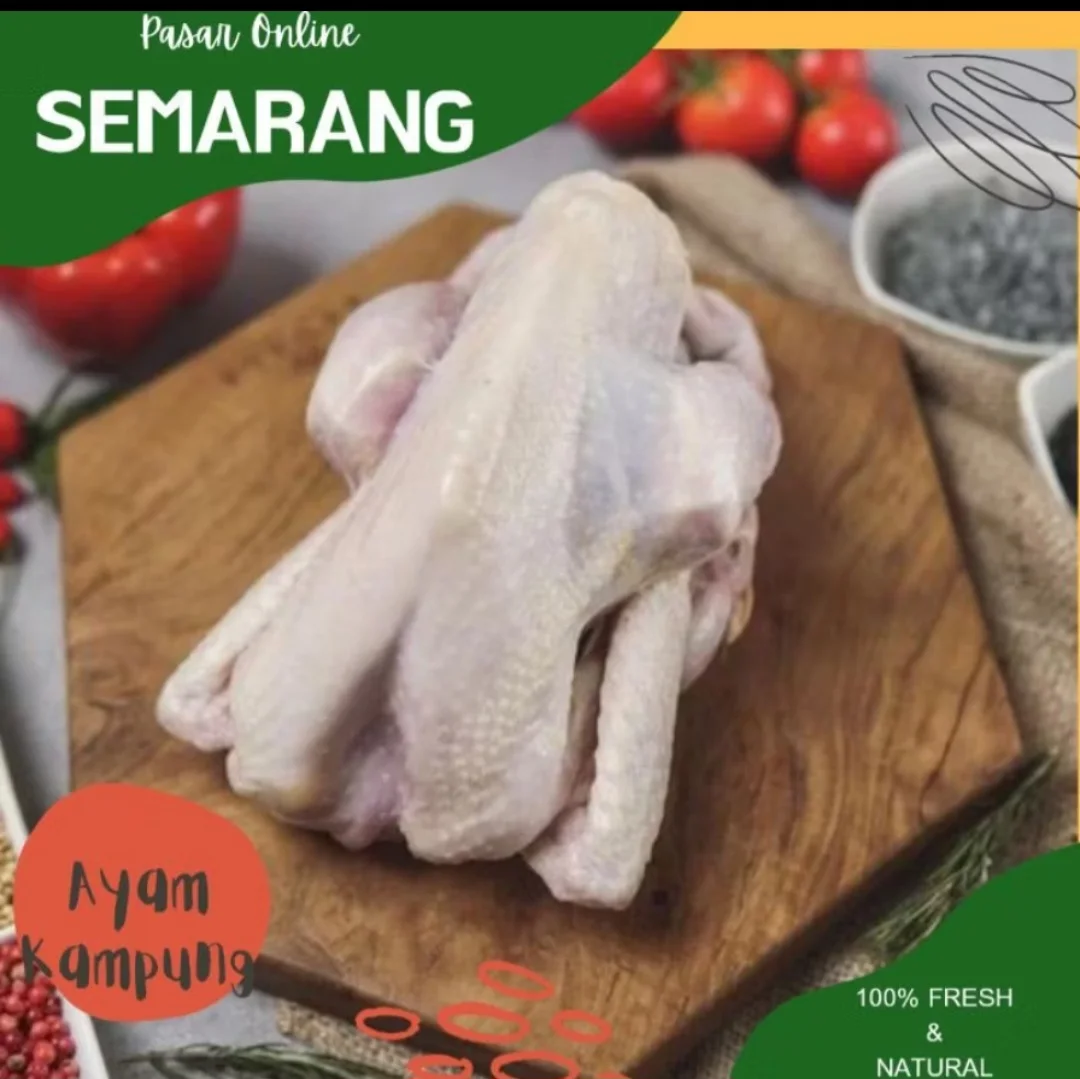 Ayam Kampung