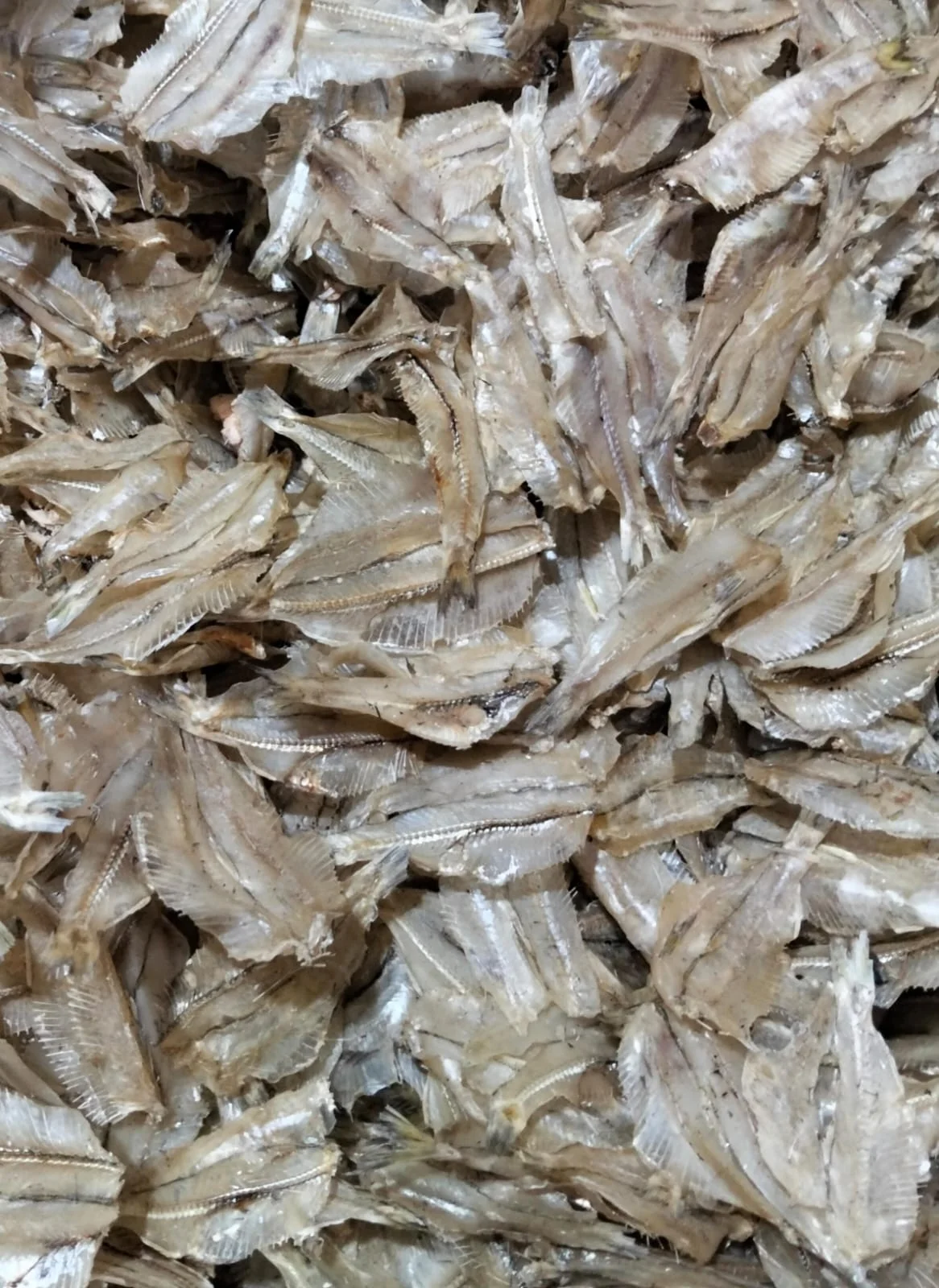 Ikan Asin Kertas
