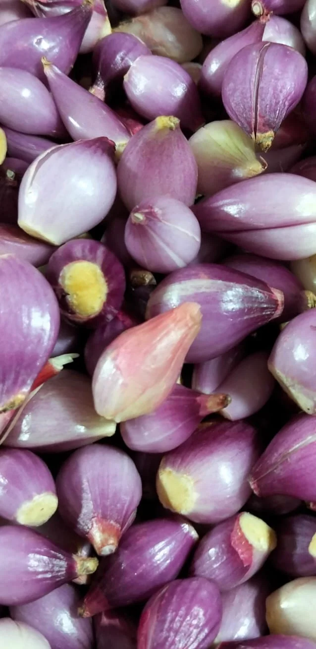 Bawang Merah Kupas