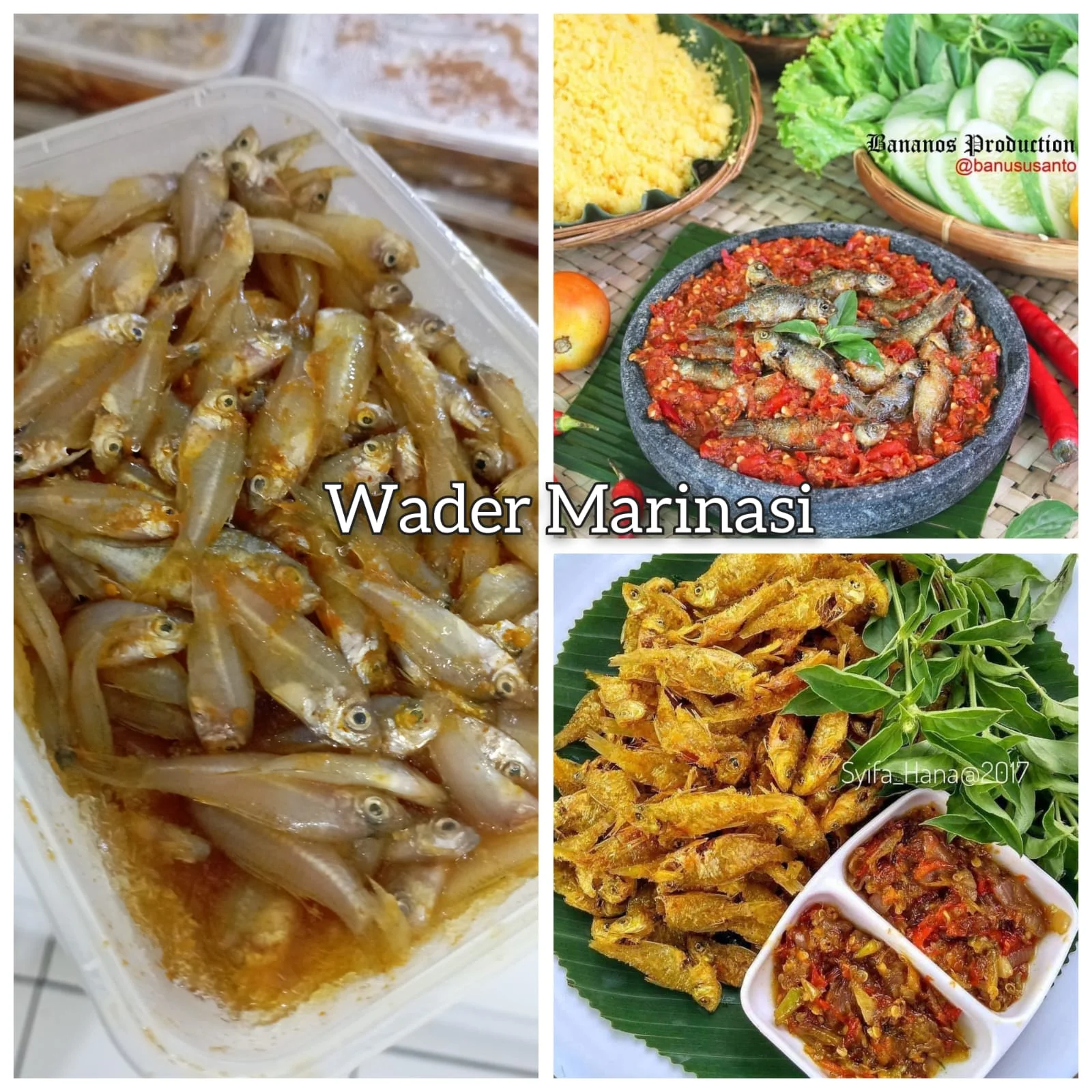Iwak Wader Marinasi