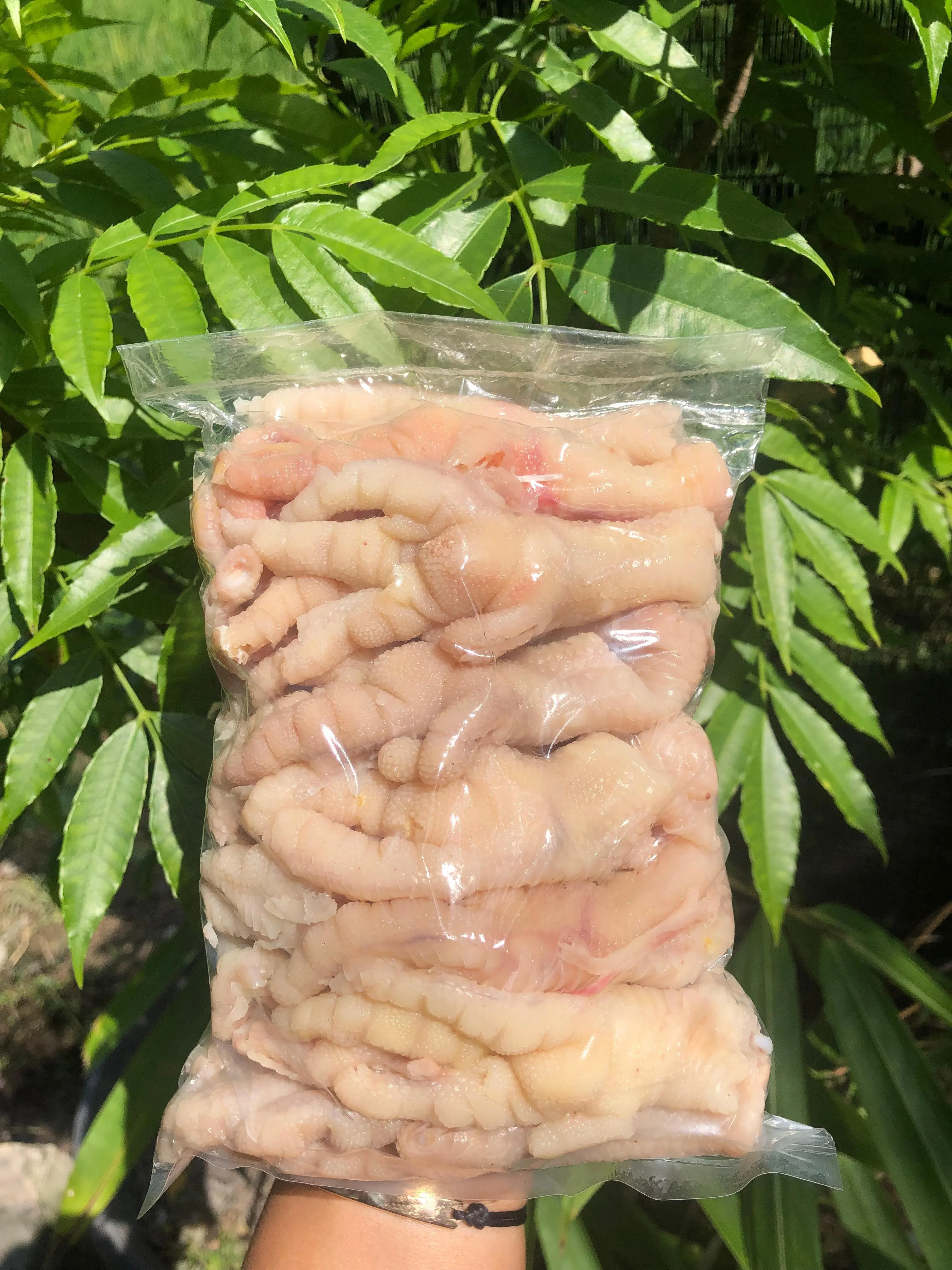 Ceker Fillet