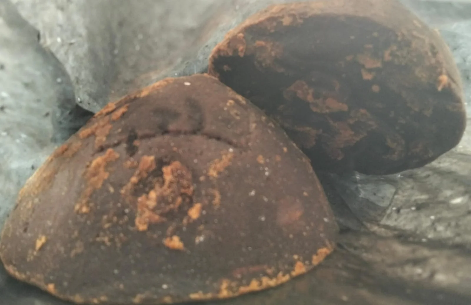 Gula Batok Linggau