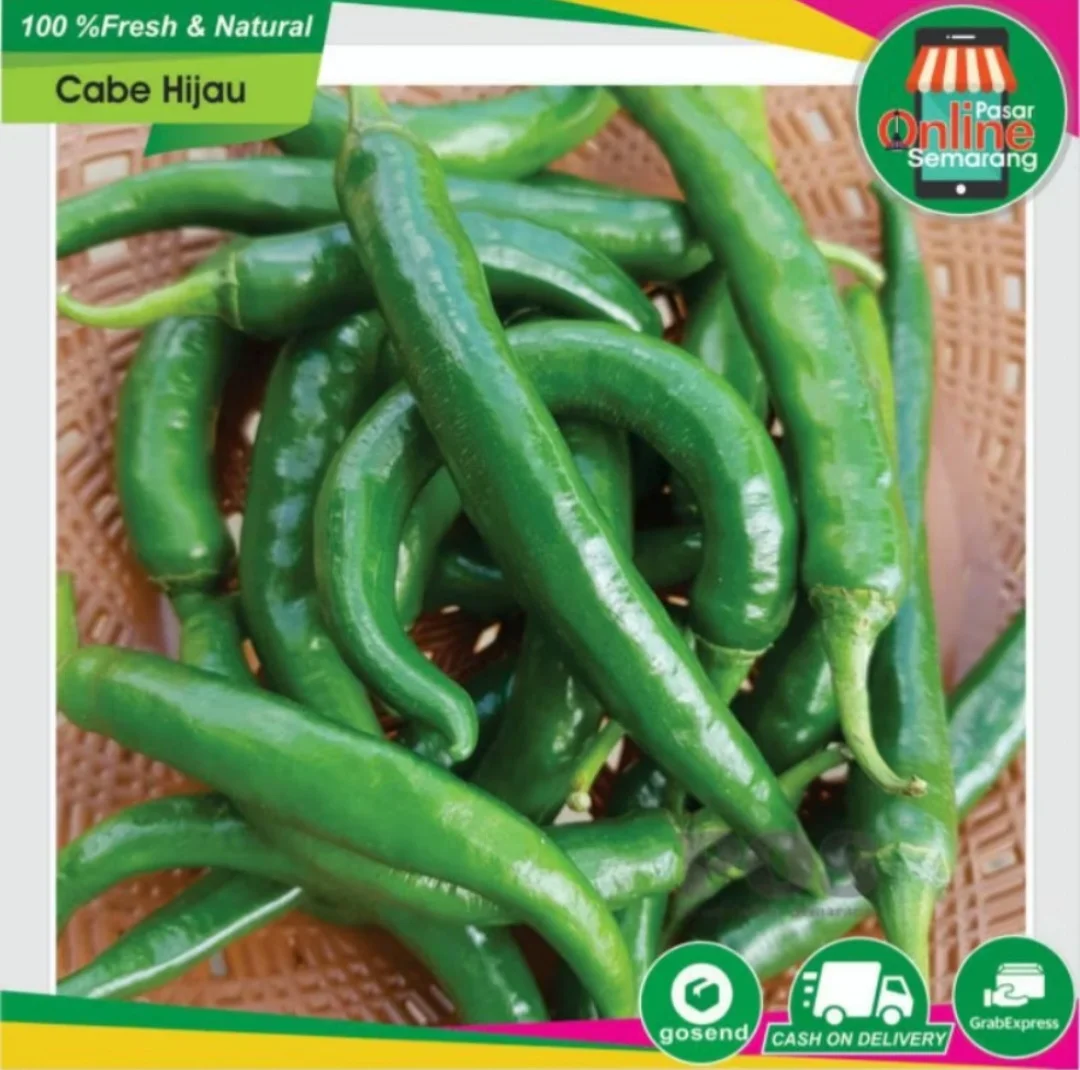 Cabe Hijau Teropong