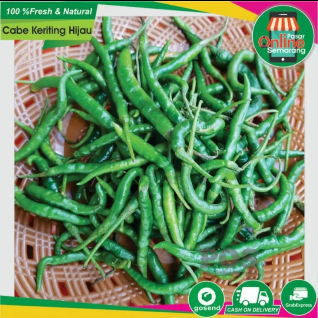 Cabe Hijau Keriting
