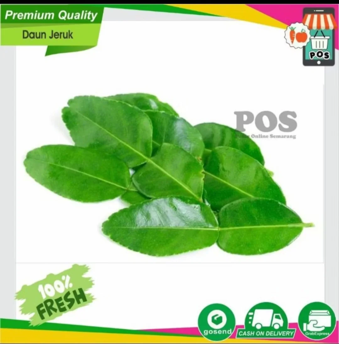 Daun Jeruk