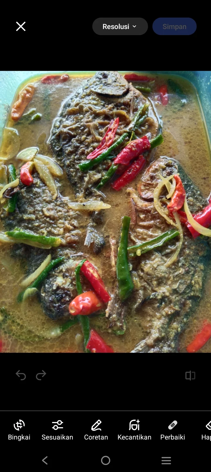 Ikan pesmol bawal