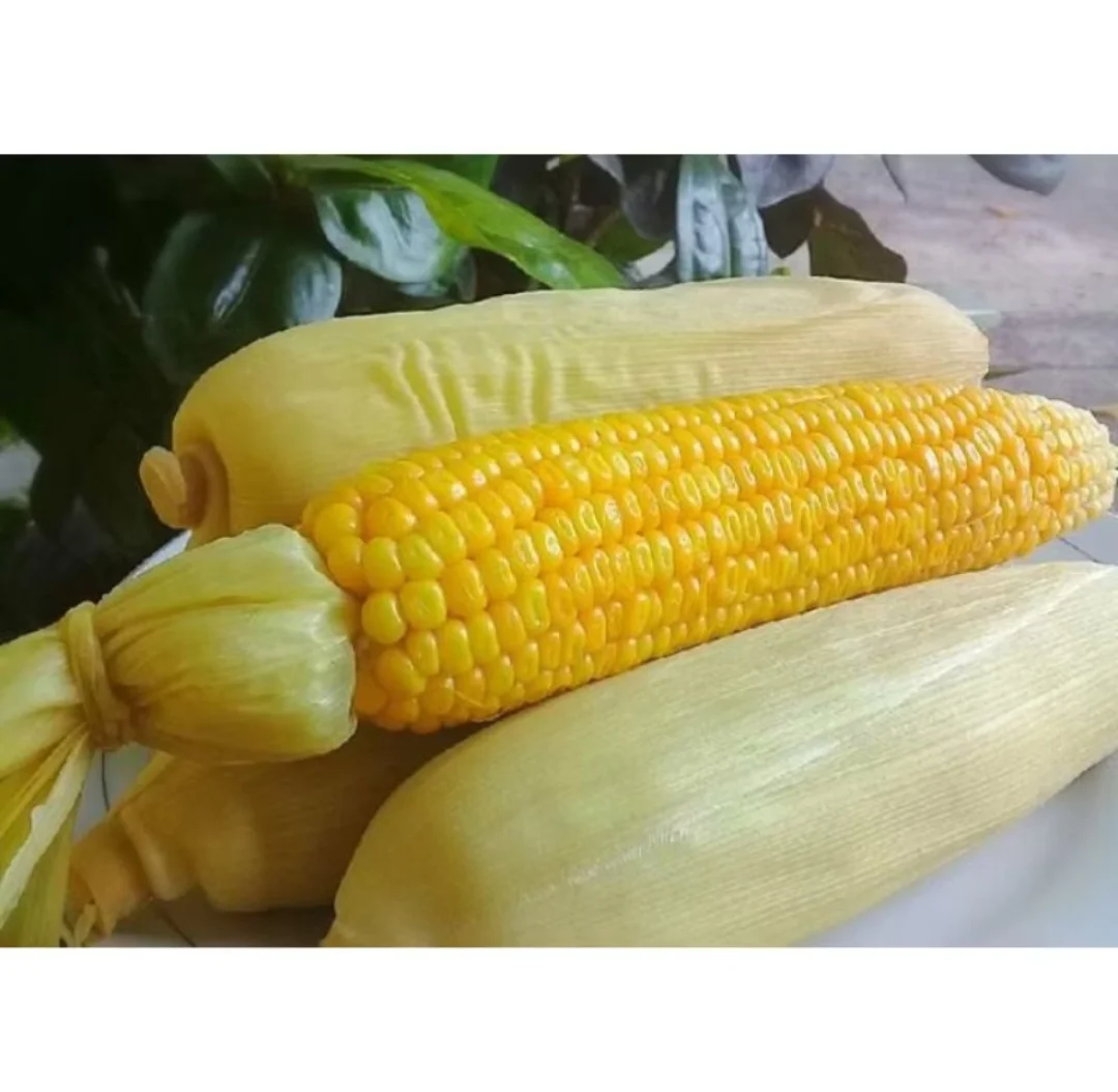 Jagung Rebus