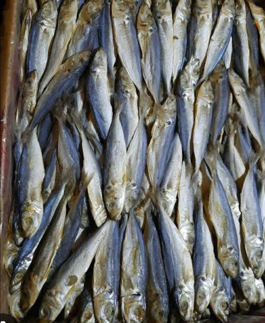 Ikan asin japoh