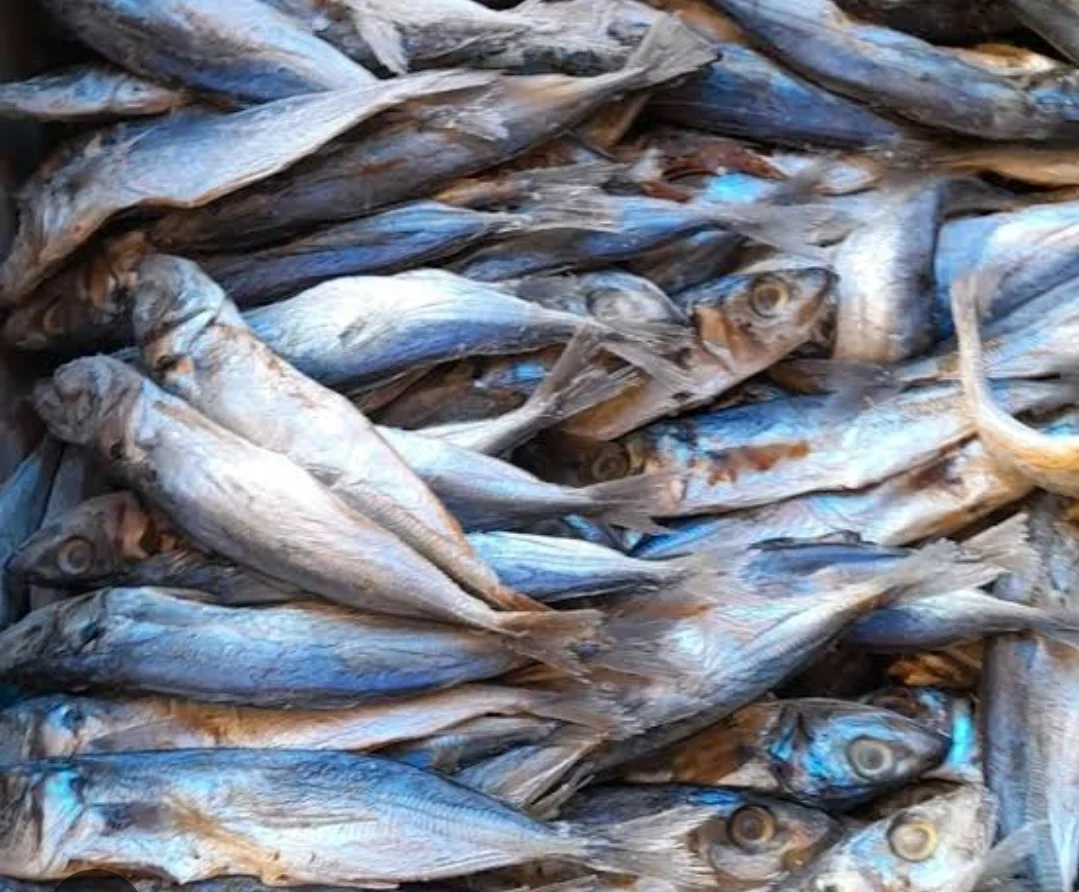 Ikan asin japuh