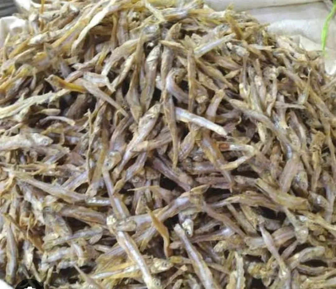 Ikan teri tawar kering