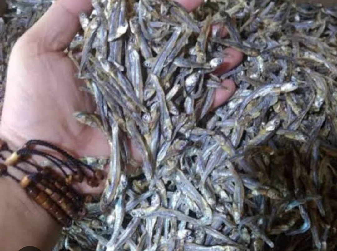 Ikan teri tawar kering