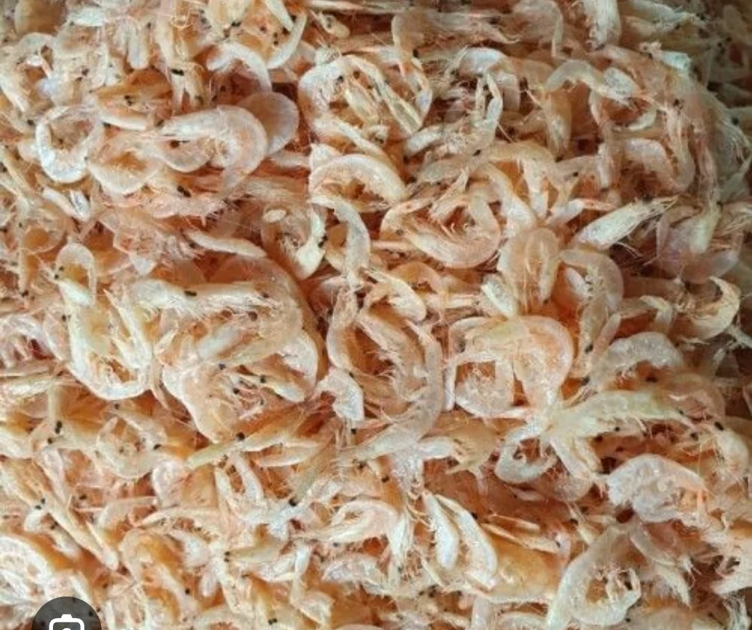 Ikan Rebon asin