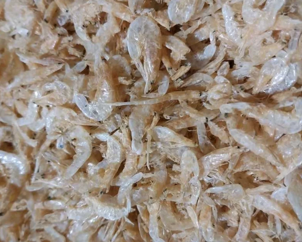 Ikan rebon tawar kering