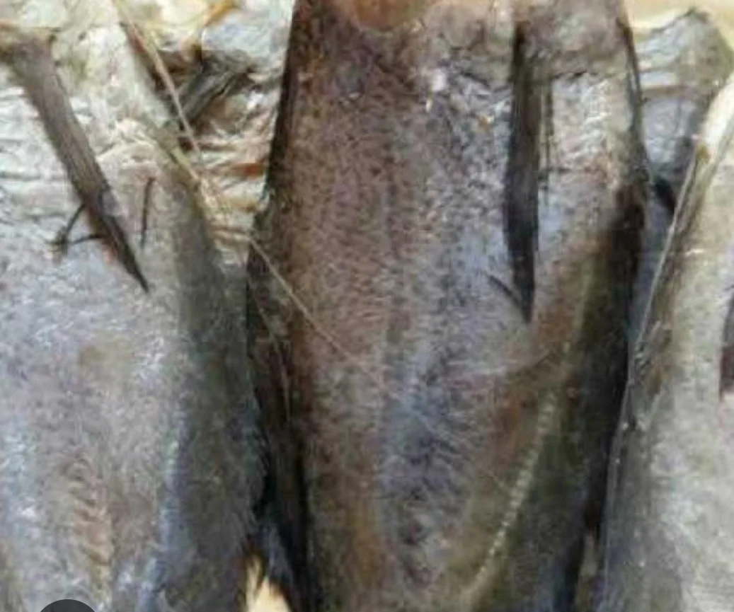 Ikan asin sepat