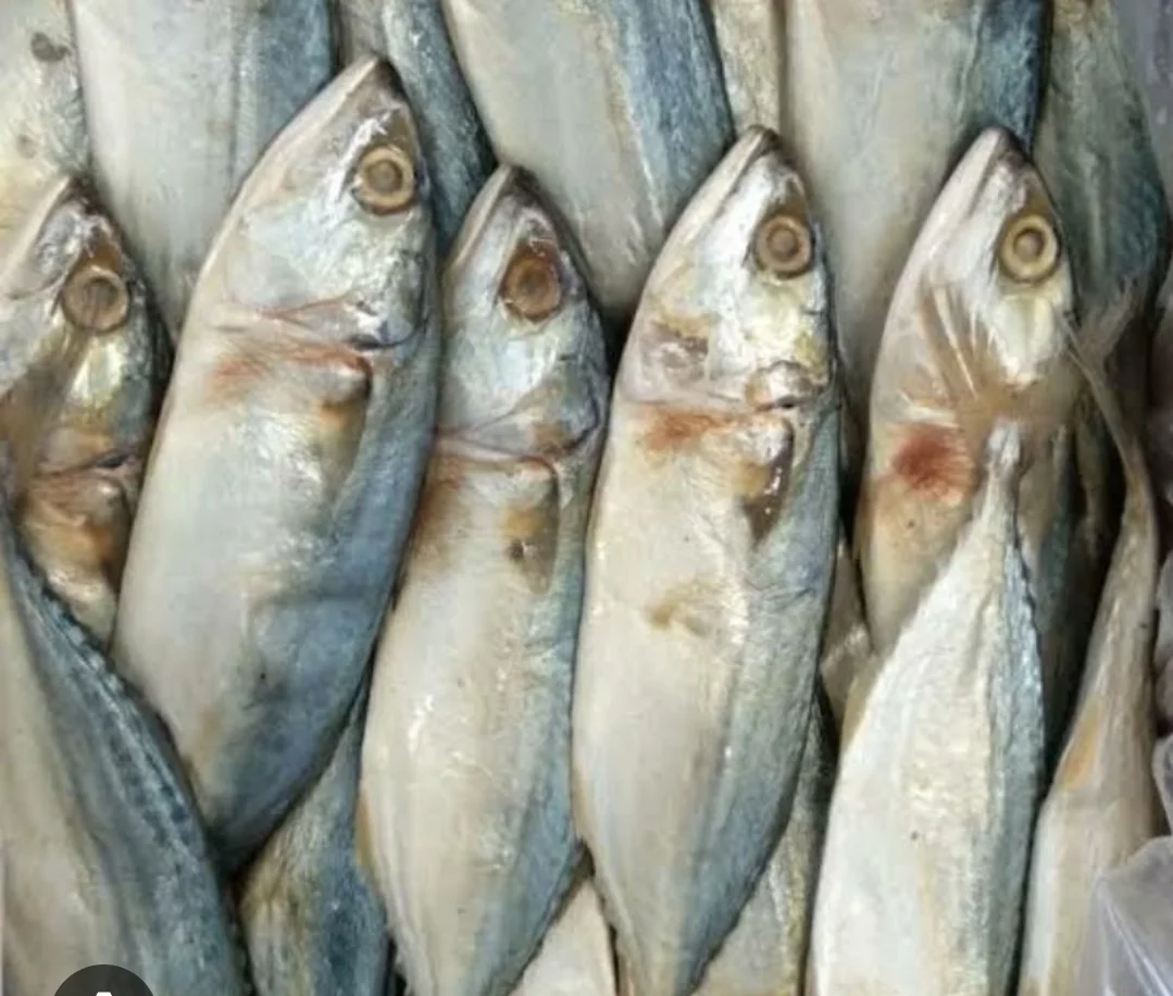 Ikan asin peda putih