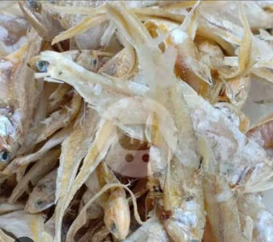Ikan asin bulu ayam